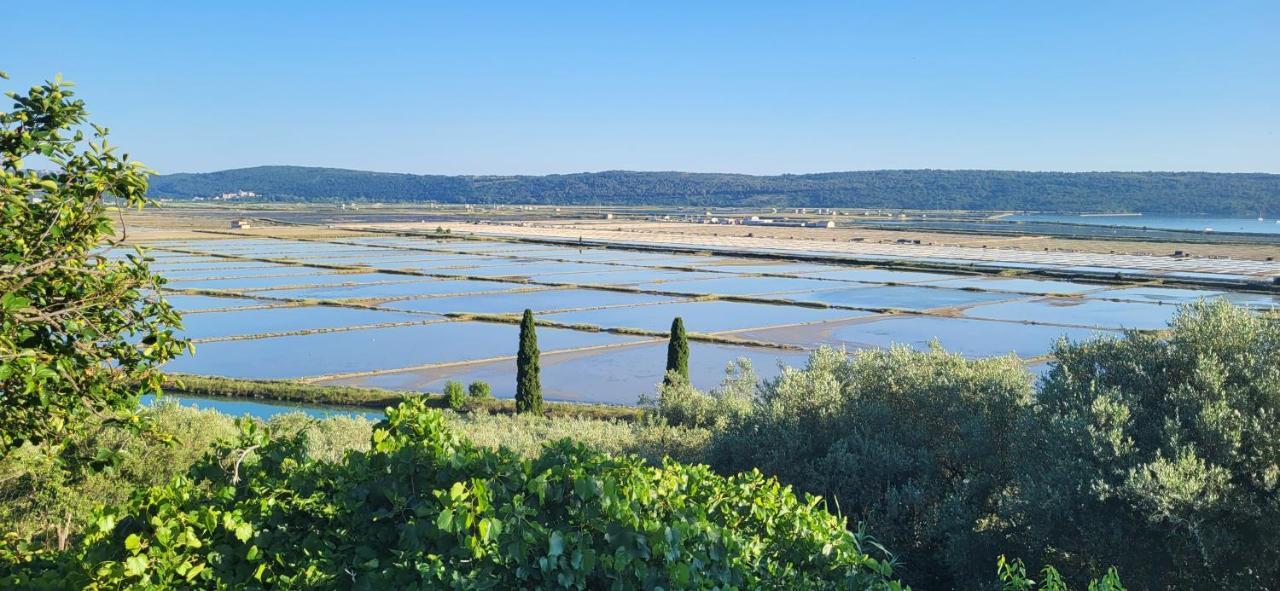 Apartment Salt Pans View Portoroz Luaran gambar