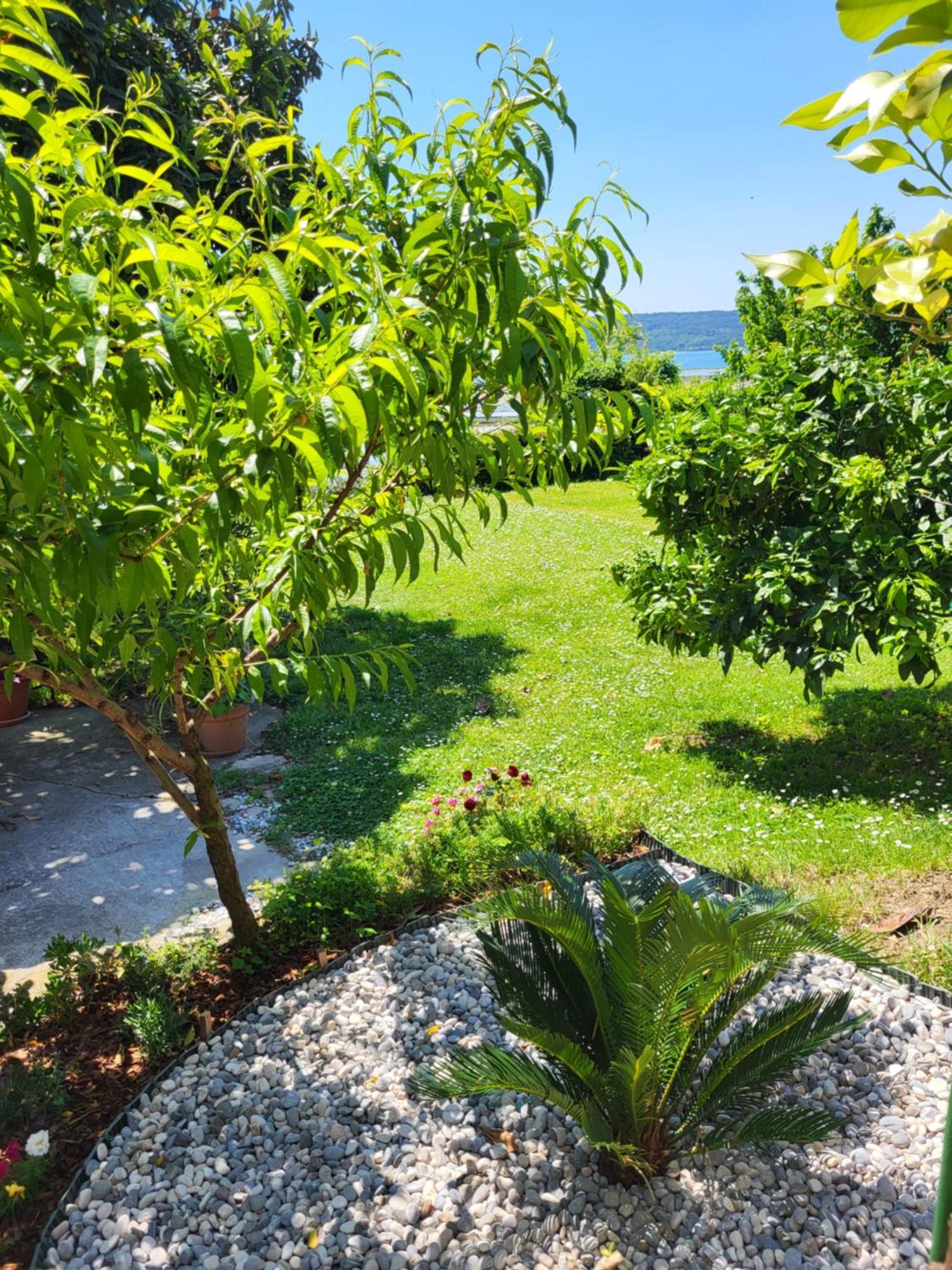 Apartment Salt Pans View Portoroz Luaran gambar
