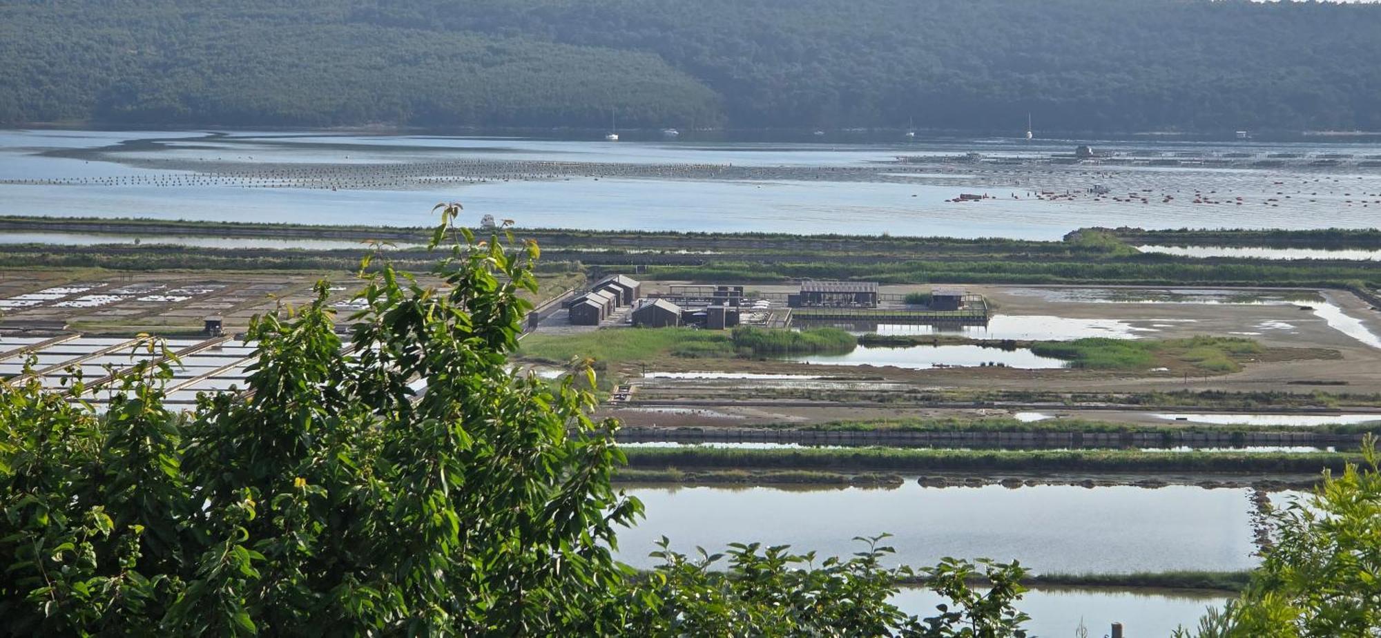 Apartment Salt Pans View Portoroz Luaran gambar